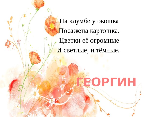 На клумбе у окошка Посажена картошка. Цветки её огромные И светлые, и тёмные. ГЕОРГИН 