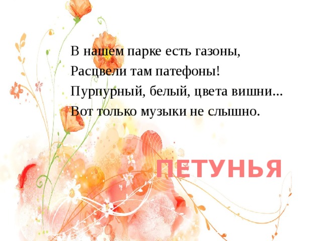 В нашем парке есть газоны, Расцвели там патефоны! Пурпурный, белый, цвета вишни... Вот только музыки не слышно. ПЕТУНЬЯ 