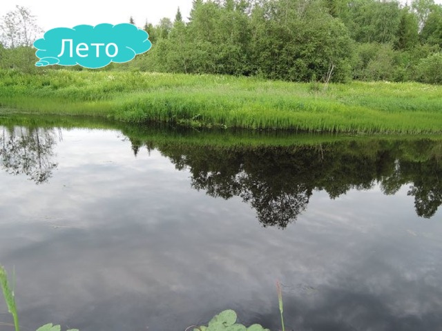 Лето 