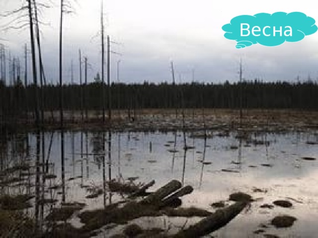 Весна 