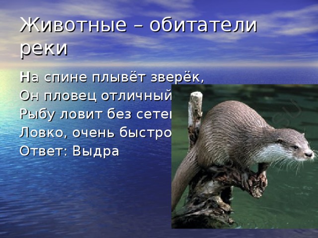 Н 