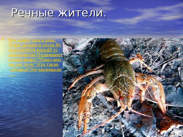 Все живут они в реке, Норы делают в песке,Всегда пятятся назадИ усами шевелят.Поднимают клещи вверх: