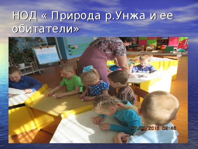 НОД « Природа р.Унжа и ее обитатели» 
