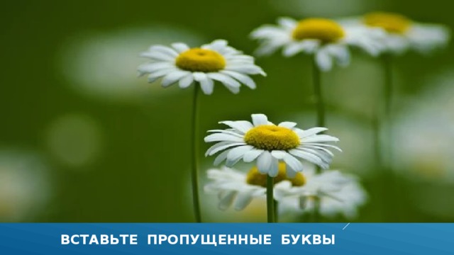  вставьте пропущенные буквы 
