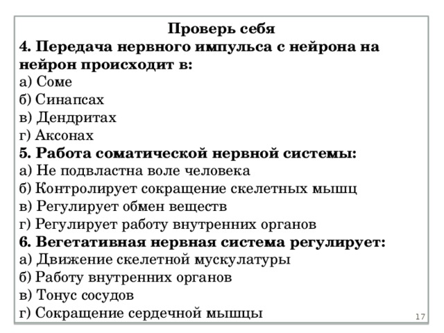 Проверь себя 4. Передача нервного импульса с нейрона на нейрон происходит в: а) Соме б) Синапсах в) Дендритах г) Аксонах 5. Работа соматической нервной системы: а) Не подвластна воле человека б) Контролирует сокращение скелетных мышц в) Регулирует обмен веществ г) Регулирует работу внутренних органов 6. Вегетативная нервная система регулирует: а) Движение скелетной мускулатуры б) Работу внутренних органов в) Тонус сосудов г) Сокращение сердечной мышцы 15 