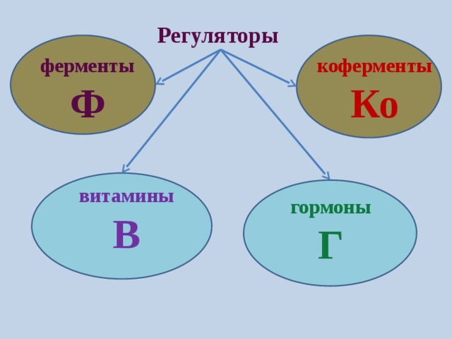 Регуляторы коферменты ферменты Ко Ф витамины В гормоны Г 
