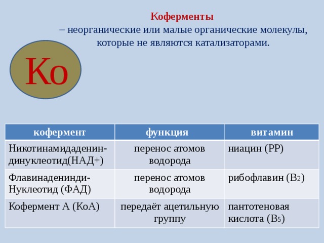 Коферменты  – неорганические или малые органические молекулы, которые не являются катализаторами. Ко кофермент Никотинамидаденин-динуклеотид(НАД+) функция витамин перенос атомов водорода Флавинаденинди- ниацин (РР) Кофермент А (КоА) Нуклеотид (ФАД) перенос атомов водорода рибофлавин (В 2 ) передаёт ацетильную группу пантотеновая кислота (В 5 ) 
