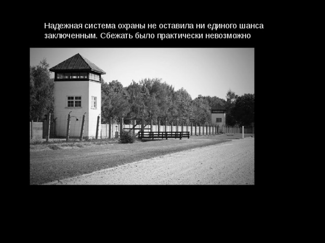 Надежная система охраны не оставила ни единого шанса  заключенным. Сбежать было практически невозможно 