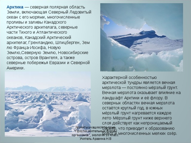 Арктика  — северная полярная область Земли, включающая Северный Ледовитый океан с его морями, многочисленные проливы и заливы Канадского Арктического архипелага, северные части Тихого и Атлантического океанов, Канадский Аpктический аpхипелаг, Гpенландию, Шпицбеpген, Землю Фpанца-Иосифа, Hовую Землю,Севеpную Землю, Hовосибиpские острова, остров Врангеля, а также северные побережья Евразии и Северной Америки.   Характерной особенностью арктической тундры является вечная мерзлота — постоянно мёрзлый грунт. Вечная мерзлота оказывает влияние на ландшафт Арктики и её флору. В северных областях вечная мерзлота остаётся круглый год, в южных мёрзлый грунт нагревается каждое лето , Мёрзлый грунт ниже верхнего слоя действует как непроницаемый барьер, что приводит к образованию болот и многочисленных мелких озёр.   проекты учащихся по теме 
