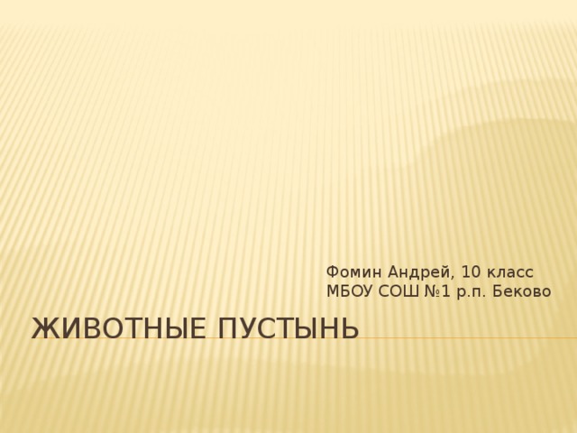 Фомин Андрей, 10 класс МБОУ СОШ №1 р.п. Беково Животные пустынь 