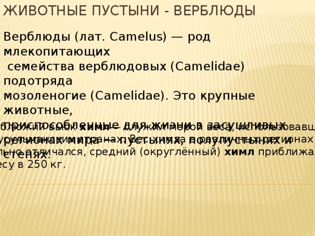 Животные пустыни - верблюды Верблюды (лат. Camelus) — род млекопитающих  семейства верблюдовых (Camelidae) подотряда мозоленогие (Camelidae). Это крупные животные, приспособленные для жизни в засушливых регионах мира — пустынях, полупустынях и степях. Верблюжий вьюк химл — служил мерой веса, использовавшейся в мусульманских странах. Вес химла в различных регионах  сильно отличался, средний (округлённый) химл приближался к весу в 250 кг. 
