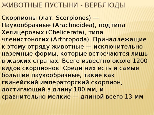Животные пустыни - верблюды Скорпионы (лат. Scorpiones) — Паукообразные (Arachnoidea), подтипа Хелицеровых (Chelicerata), типа членистоногих (Arthropoda). Принадлежащие к этому отряду животные — исключительно наземные формы, которые встречаются лишь в жарких странах. Всего известно около 1200 видов скорпионов. Среди них есть и самые большие паукообразные, такие как гвинейский императорский скорпион, достигающий в длину 180 мм, и сравнительно мелкие — длиной всего 13 мм 