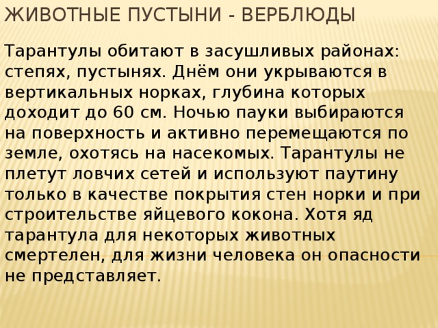 Животные пустыни - верблюды Тарантулы обитают в засушливых районах: степях, пустынях. Днём они укрываются в вертикальных норках, глубина которых доходит до 60 см. Ночью пауки выбираются на поверхность и активно перемещаются по земле, охотясь на насекомых. Тарантулы не плетут ловчих сетей и используют паутину только в качестве покрытия стен норки и при строительстве яйцевого кокона. Хотя яд тарантула для некоторых животных смертелен, для жизни человека он опасности не представляет. 