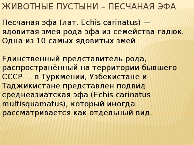 Животные пустыни – песчаная эфа Песчаная эфа (лат. Echis carinatus) — ядовитая змея рода эфа из семейства гадюк. Одна из 10 самых ядовитых змей Единственный представитель рода, распространённый на территории бывшего СССР — в Туркмении, Узбекистане и Таджикистане представлен подвид среднеазиатская эфа (Echis carinatus multisquamatus), который иногда рассматривается как отдельный вид. 