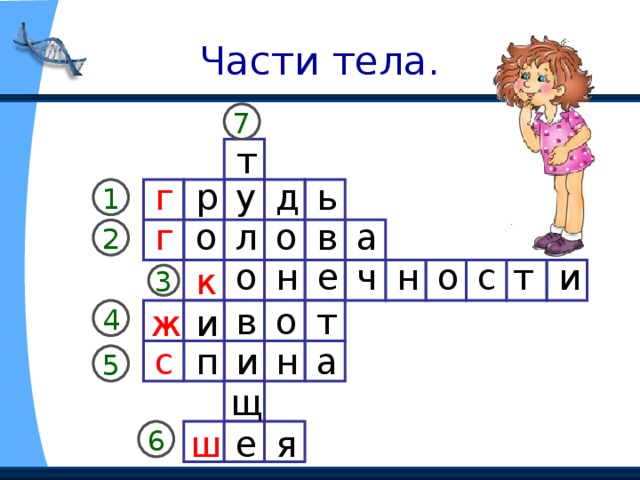 Части тела. 7 т д г у р ь 1 л а в о о г 2 н с е ч о н о и т к 3 в о т ж и 4 с а н и п 5 щ ш е я 6 
