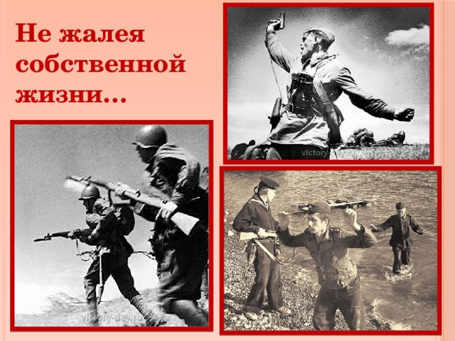 Не жалея собственной жизни… 
