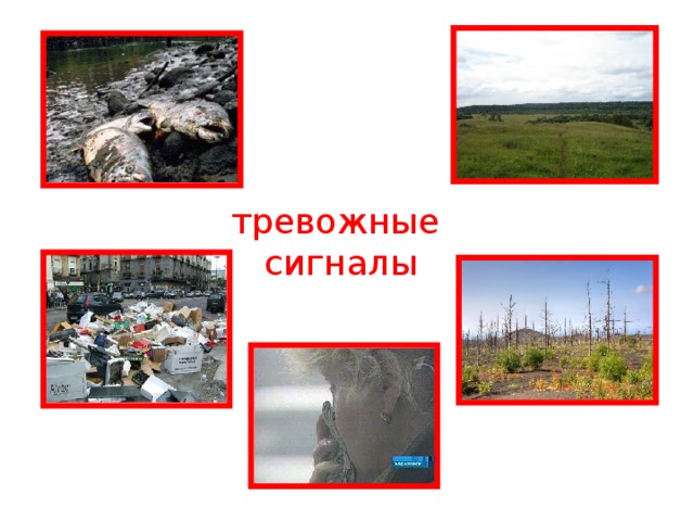 тревожные  сигналы 