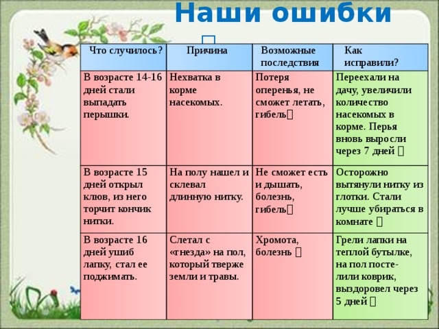  Наши ошибки   Что случилось?  Причина В возрасте 14-16 дней стали выпадать перышки.  Возможные В возрасте 15 дней открыл клюв, из него торчит кончик нитки. Нехватка в корме насекомых. В возрасте 16 дней ушиб лапку, стал ее поджимать. На полу нашел и склевал длинную нитку. Потеря оперенья, не сможет летать, гибель   Как  последствия Переехали на дачу, увеличили количество насекомых в корме. Перья вновь выросли через 7 дней   исправили? Не сможет есть и дышать, болезнь, гибель  Слетал с «гнезда» на пол, который тверже земли и травы. Осторожно вытянули нитку из глотки. Стали лучше убираться в комнате  Хромота, болезнь  Грели лапки на теплой бутылке, на пол посте- лили коврик, выздоровел через 5 дней  