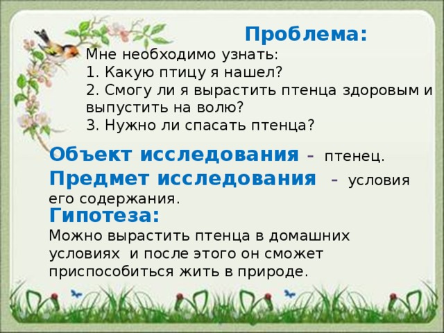  Проблема:   Мне необходимо узнать:  1. Какую птицу я нашел? 2. Смогу ли я вырастить птенца здоровым и выпустить на волю?  3. Нужно ли спасать птенца?  Объект исследования –  птенец. Предмет исследования – условия его содержания. Гипотеза:  Можно вырастить птенца в домашних условиях и после этого он сможет приспособиться жить в природе. 