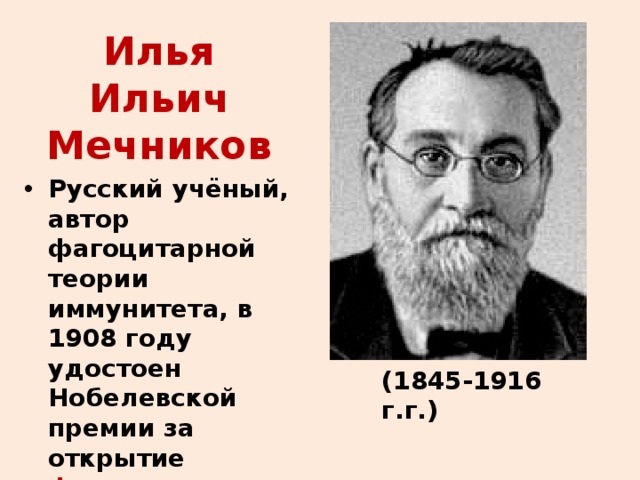 Илья Ильич Мечников Русский учёный, автор фагоцитарной теории иммунитета, в 1908 году удостоен Нобелевской премии за открытие фагоцитоза. (1845-1916 г.г.) 