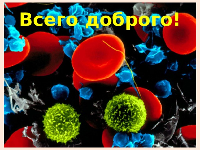 Всего доброго! 