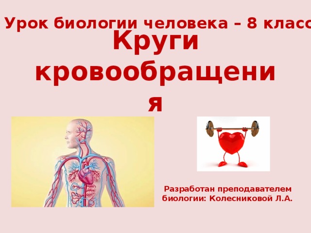 Урок биологии человека – 8 класс Круги кровообращения Разработан преподавателем биологии: Колесниковой Л.А. 
