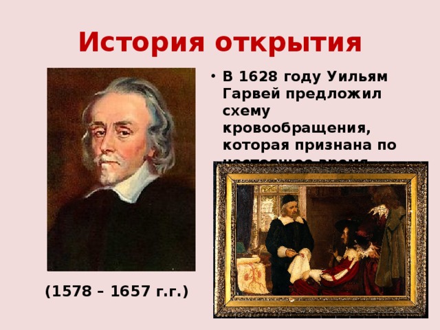 История открытия В 1628 году Уильям Гарвей предложил схему кровообращения, которая признана по настоящее время. (1578 – 1657 г.г.) 