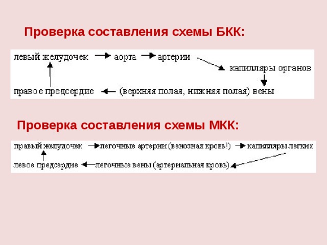 Проверка составления схемы БКК: Проверка составления схемы МКК: 