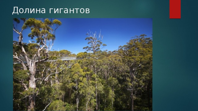 Долина гигантов 