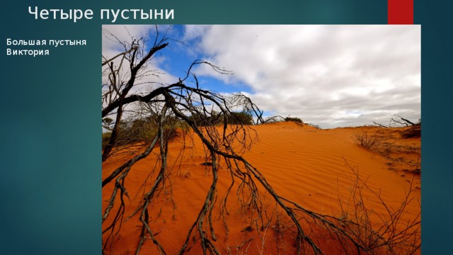 Четыре пустыни Большая пустыня Виктория 