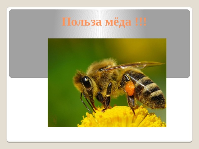 Польза мёда !!! 