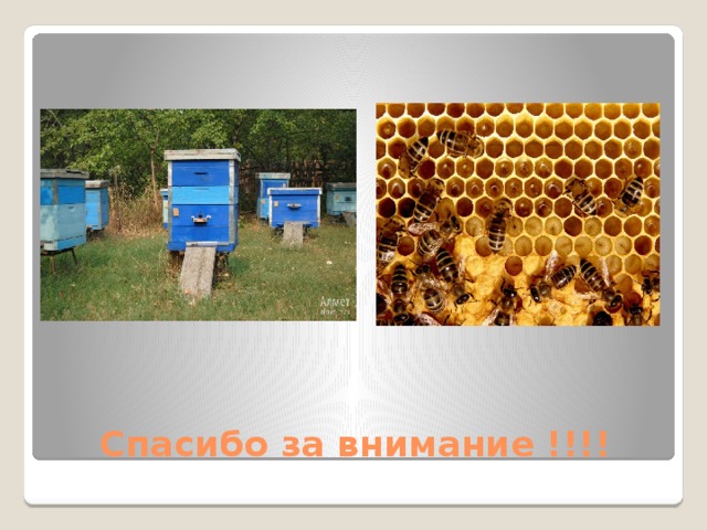 Спасибо за внимание !!!! 