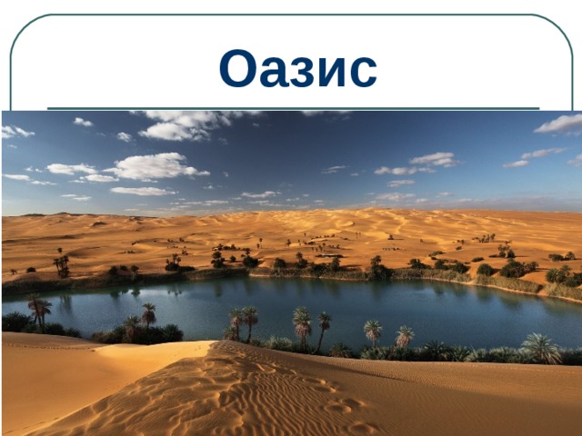 Оазис 
