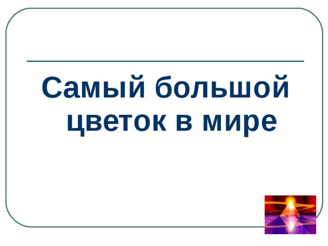 Самый большой цветок в мире 