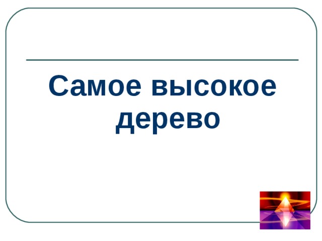 Самое высокое дерево 