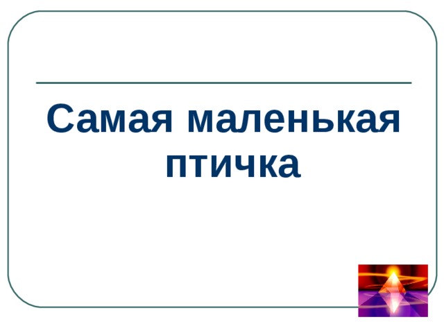 Самая маленькая птичка 