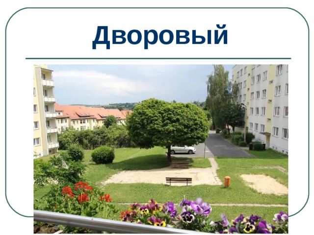 Дворовый 