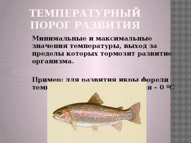 Температурный порог развития Минимальные и максимальные значения температуры, выход за пределы которых тормозит развитие организма.  Пример: для развития икры форели температурный порог развития – 0 ºC 