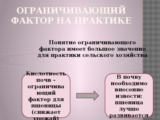 Ограничивающий фактор на практике Понятие ограничивающего фактора имеет большое значение для практики сельского хозяйства Кислотность почв – ограничивающий фактор для пшеницы (снижает урожай) В почву необходимо внесение извести: пшеница лучше развивается 