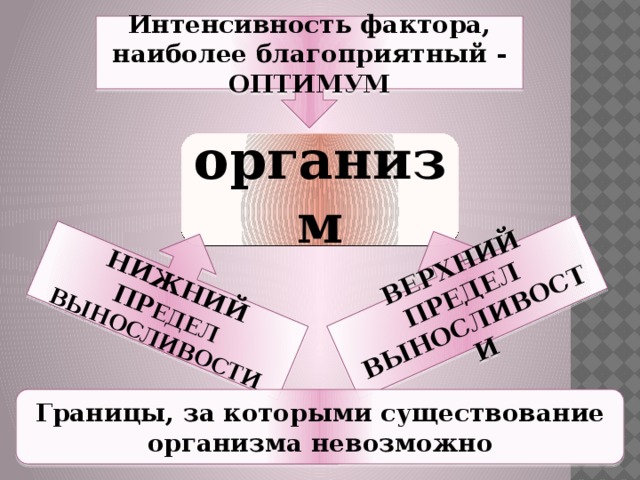 НИЖНИЙ ПР ЕДЕЛ ВЫНОСЛИВОСТИ ВЕРХНИЙ ПРЕДЕЛ ВЫНОСЛИВОСТИ Интенсивность фактора, наиболее благоприятный - ОПТИМУМ организм Границы, за которыми существование организма невозможно 
