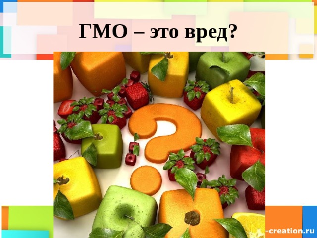ГМО – это вред? 