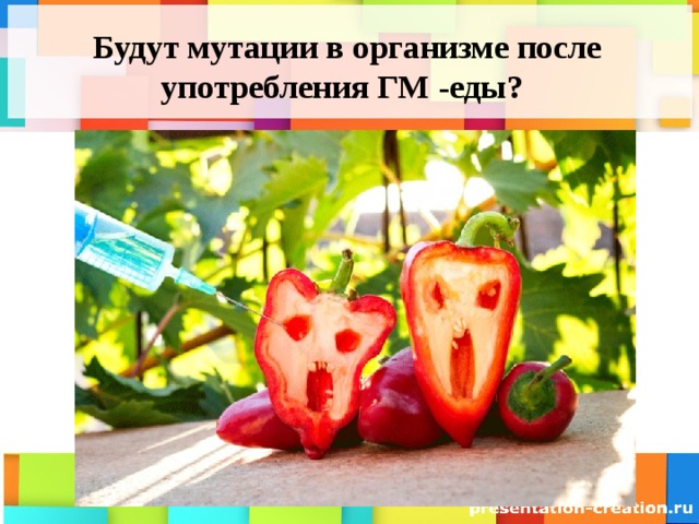  Будут мутации в организме после употребления ГМ -еды? 