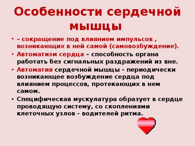 Особенности сердечной мышцы – сокращение под влиянием импульсов , возникающих в ней самой (самовозбуждение). Автоматизм сердца – способность органа работать без сигнальных раздражений из вне. Автоматия сердечной мышцы - периодически возникающее возбуждение сердца под влиянием процессов, протекающих в нем самом. Специфическая мускулатура образует в сердце проводящую систему, со скоплениями клеточных узлов - водителей ритма.  