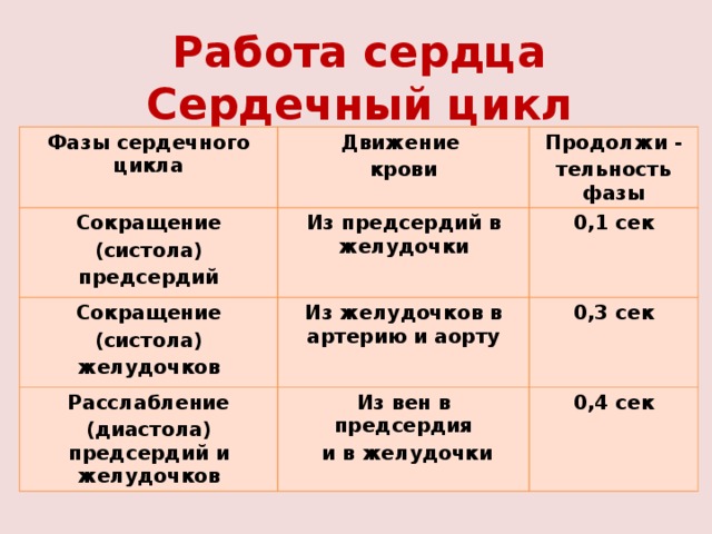 Работа сердца  Сердечный цикл Фазы сердечного цикла Движение Сокращение крови Продолжи - (систола) Из предсердий в желудочки Сокращение Из желудочков в артерию и аорту тельность фазы (систола) Расслабление 0,1 сек предсердий желудочков 0,3 сек (диастола) предсердий и желудочков Из вен в предсердия  и в желудочки 0,4 сек 