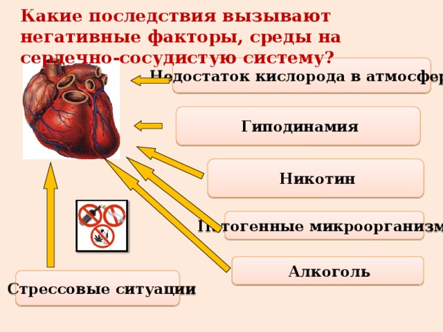Какие последствия вызывают негативные факторы, среды на сердечно-сосудистую систему?  Недостаток кислорода в атмосфере  Гиподинамия  Никотин  Патогенные микроорганизмы  Алкоголь  Стрессовые ситуации 