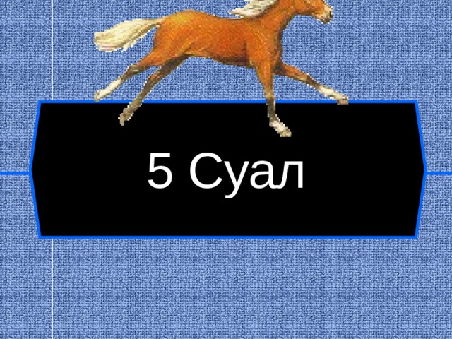 5 Суал  