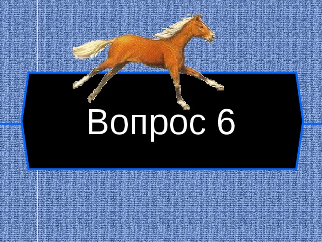 Вопрос 6  