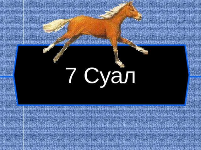 7 Суал  