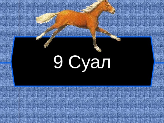 9 Суал  