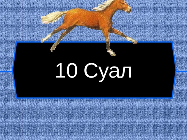 10 Суал  